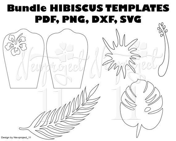 free printable hibiscus borders
