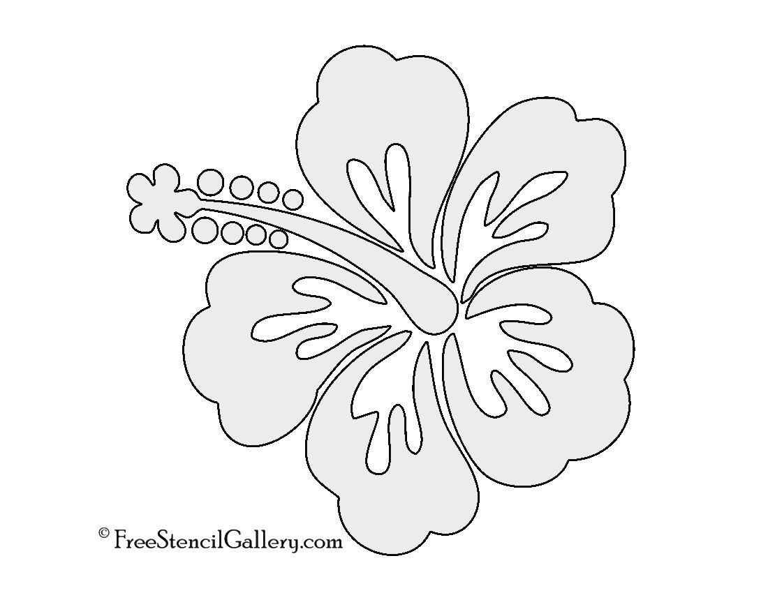 free printable hibiscus borders