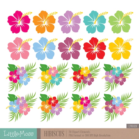 free printable hibiscus borders