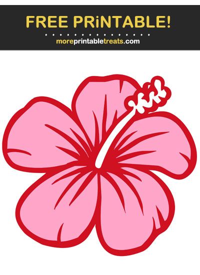 free printable hibiscus borders