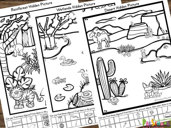 free printable hidden pictures pdf