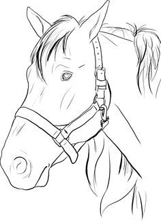 Horse Head Coloring Pages To Print Sketch Coloring Page