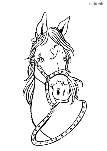 free printable horse head coloring pages