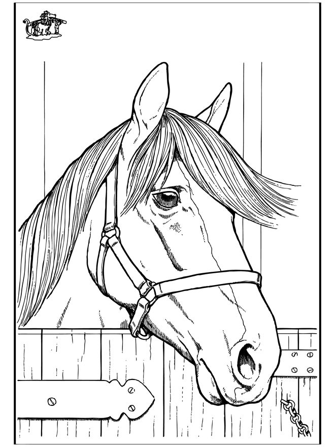 Horse Head Coloring Pages - Coloring Home
