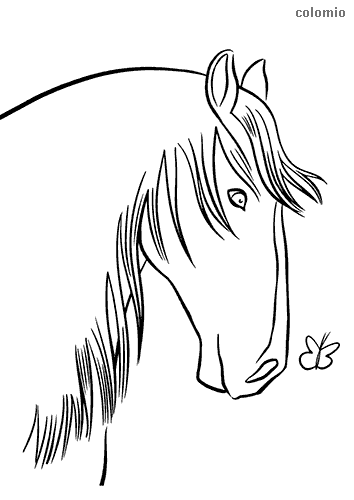 Horses coloring pages » Free &  Printable » Horse coloring sheets