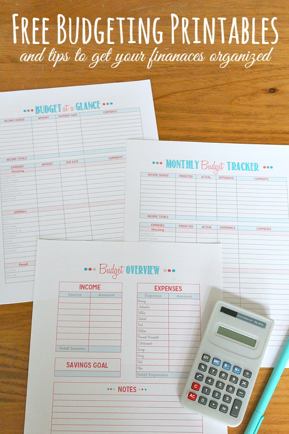 Family Binder Budgeting Printables - Clean and Scentsible