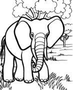 free printable kindergarten coloring worksheet