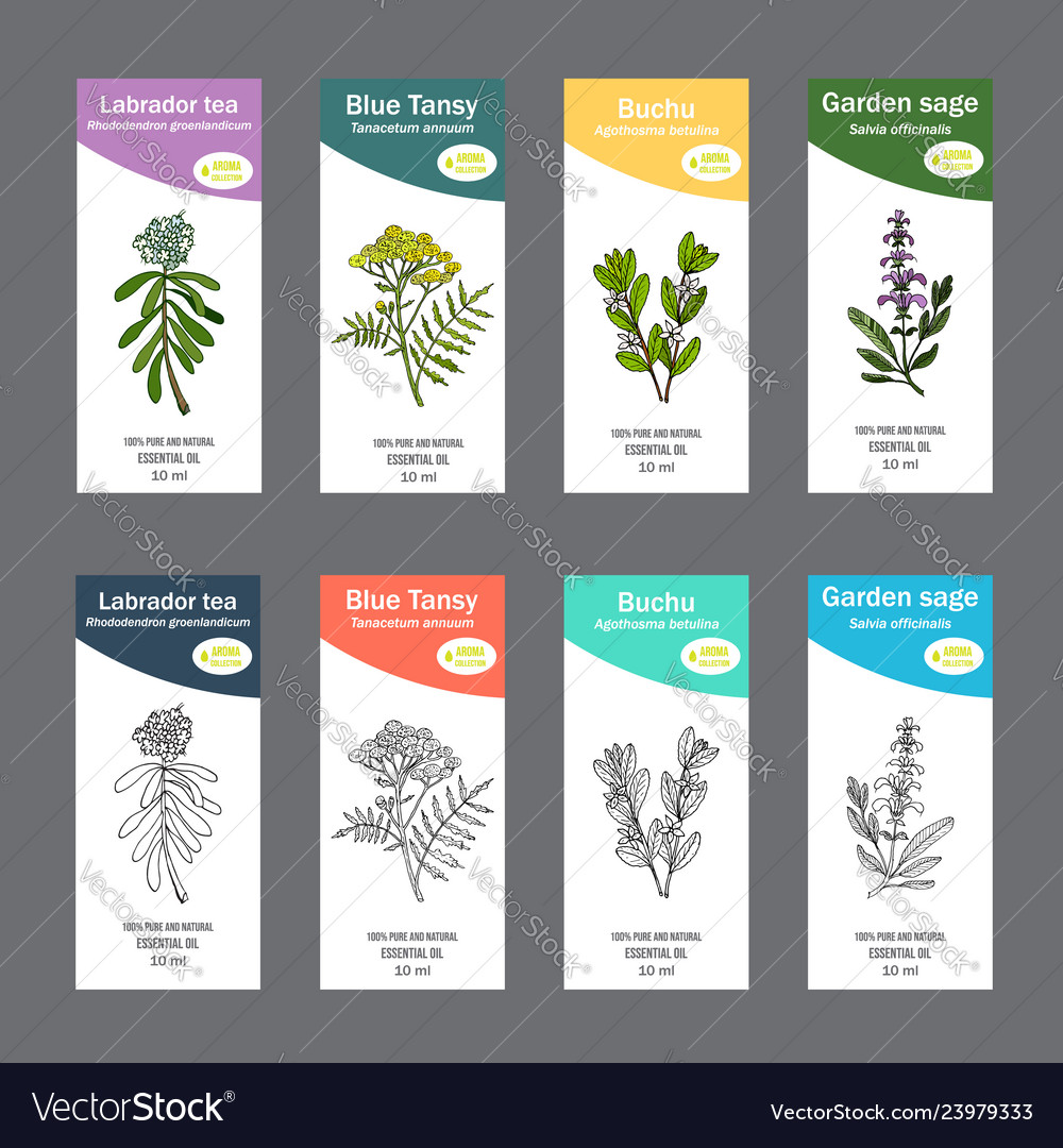 Amazon.com : Mr-Label Essential Oil Labels - for Inkjet/Laser ...