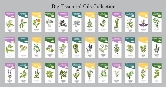 free printable labels for essential oils