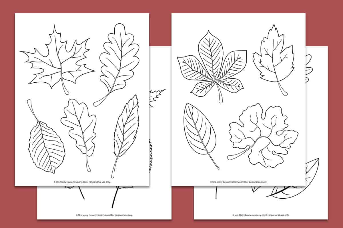 free-printable-fall-leaves-coloring-pages-mrs-merry-worksheets-library for Free Printable Pictures Of Autumn Leaves Free Printable Fall Leaves Coloring Pages | Mrs. Merry - Worksheets Library for Free Printable Pictures Of Autumn Leaves