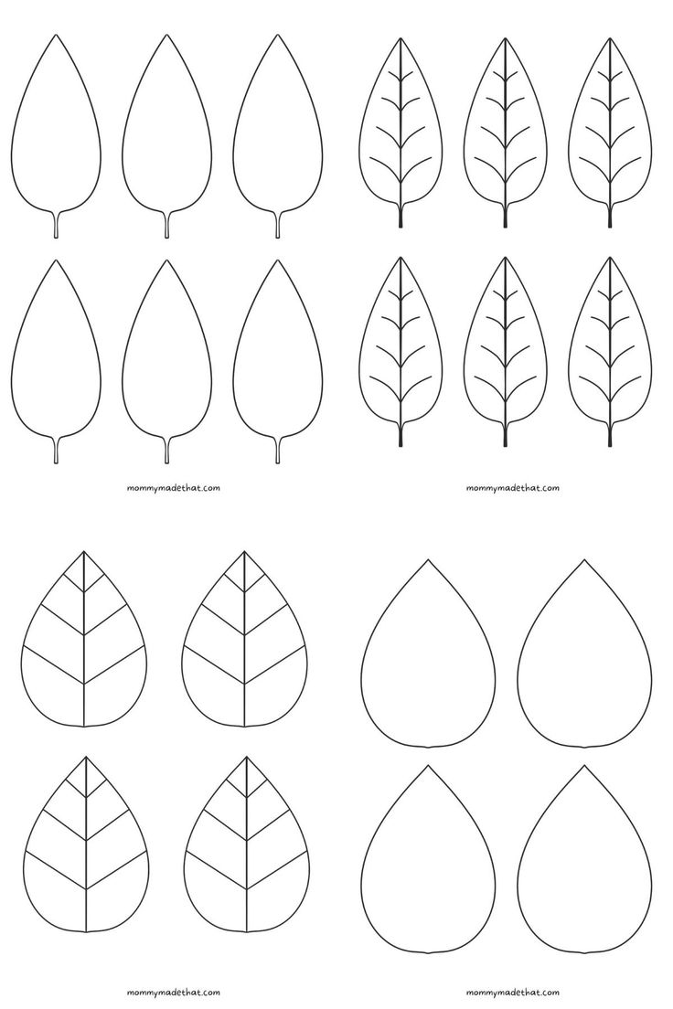 Free Leaf Templates &  Outlines: Tons of Printables!!