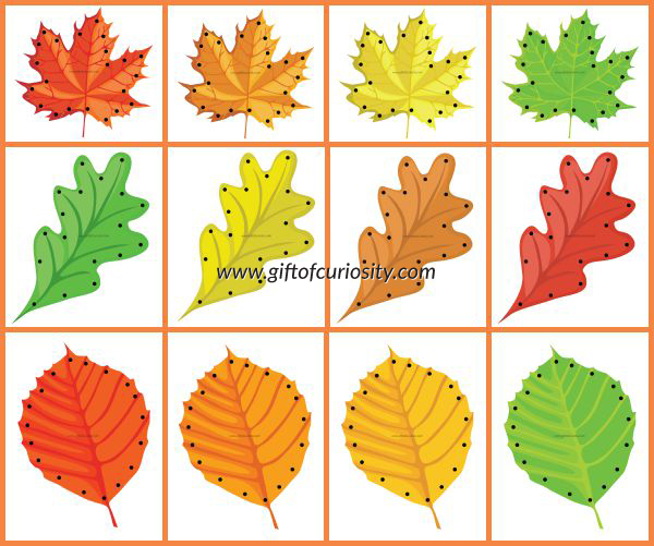 free printable leaves images