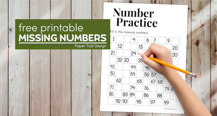 Missing Numbers Worksheet 1-100 - Paper Trail Design