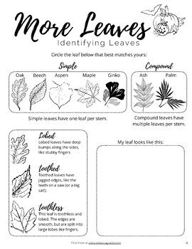 Free My Year Nature Journal OCTOBER Printable by Rebecca Writes Books