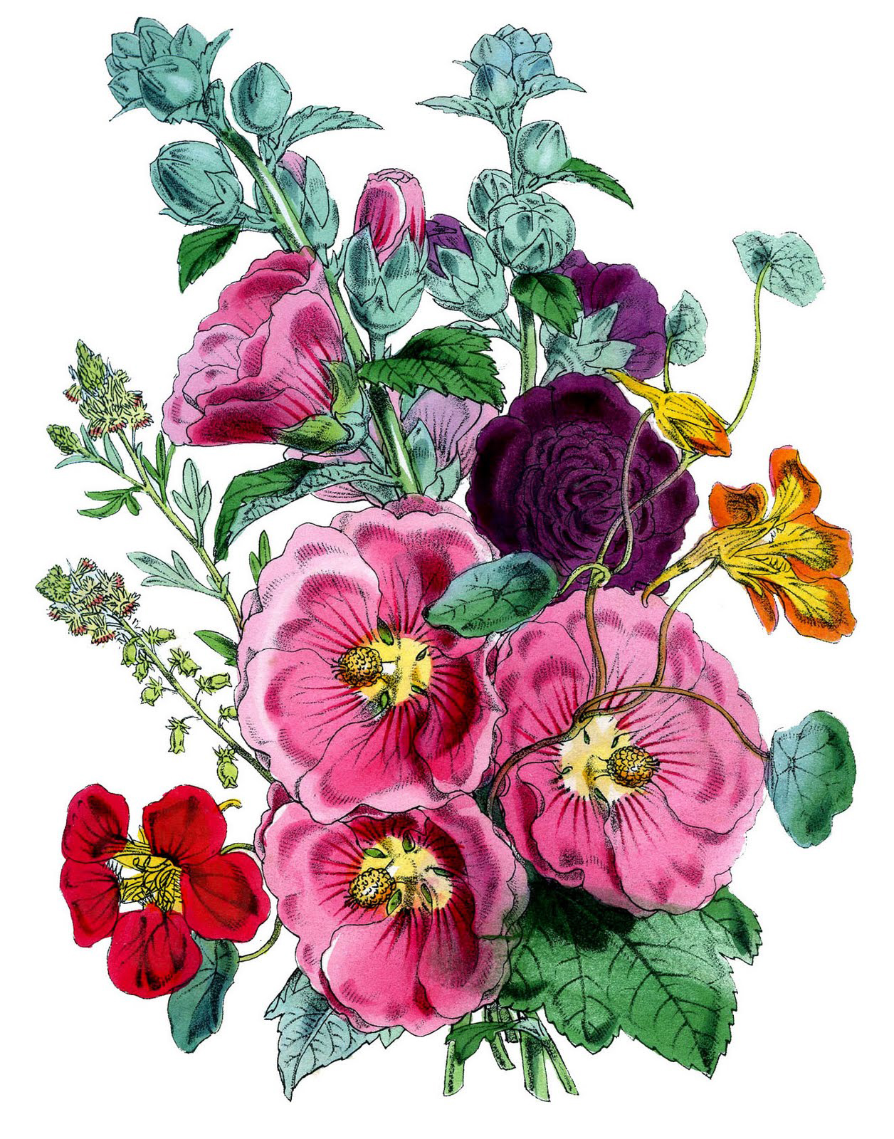 672 Vintage Flower Images! - The Graphics Fairy