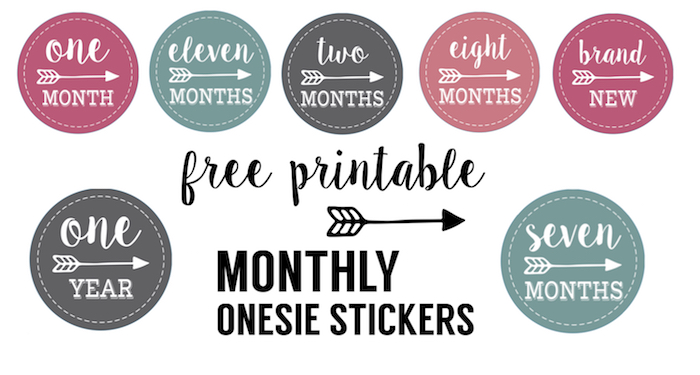 Baby Girl Monthly Onesie Stickers Free Printable - Paper Trail Design