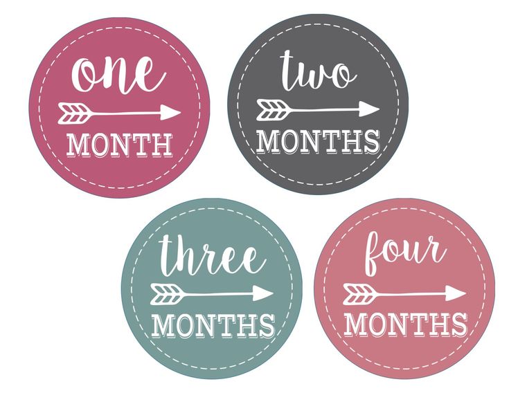 Baby Girl Monthly Onesie Stickers Free Printable - Paper Trail Design