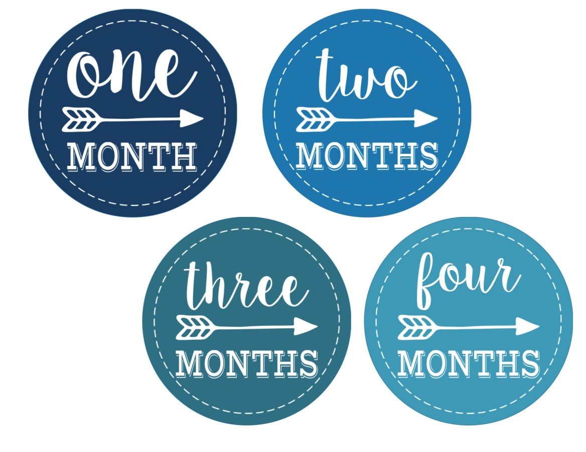 Baby Boy Monthly Onesie Stickers Free Printable - Paper Trail Design