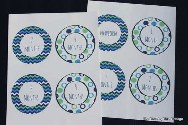 Newborn Month Stickers for Onesies - Angie Holden The Country Chic ...