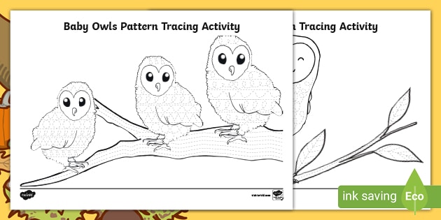Baby Owls Pattern Tracing Activity (teacher made) - Twinkl