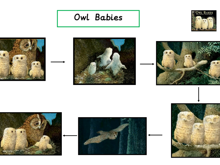 Free Free Printable Owl Babies Resources Download Free Free Printable 