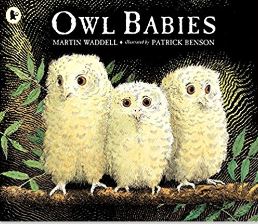 Yr 1 Whole Class Reading Owl Babies - The Teach Hub