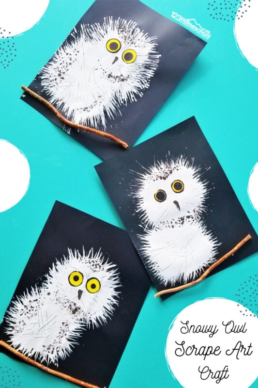 ? Snowy Owl Baby Scrape Art Craft for Kids