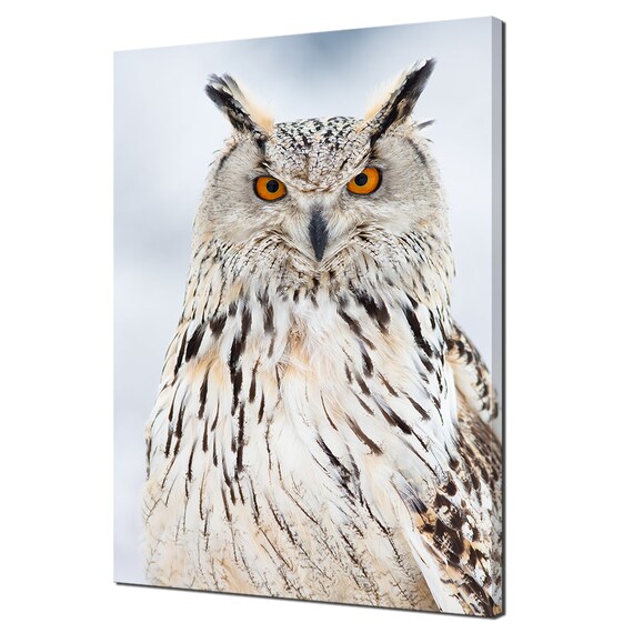 free printable owl wall art