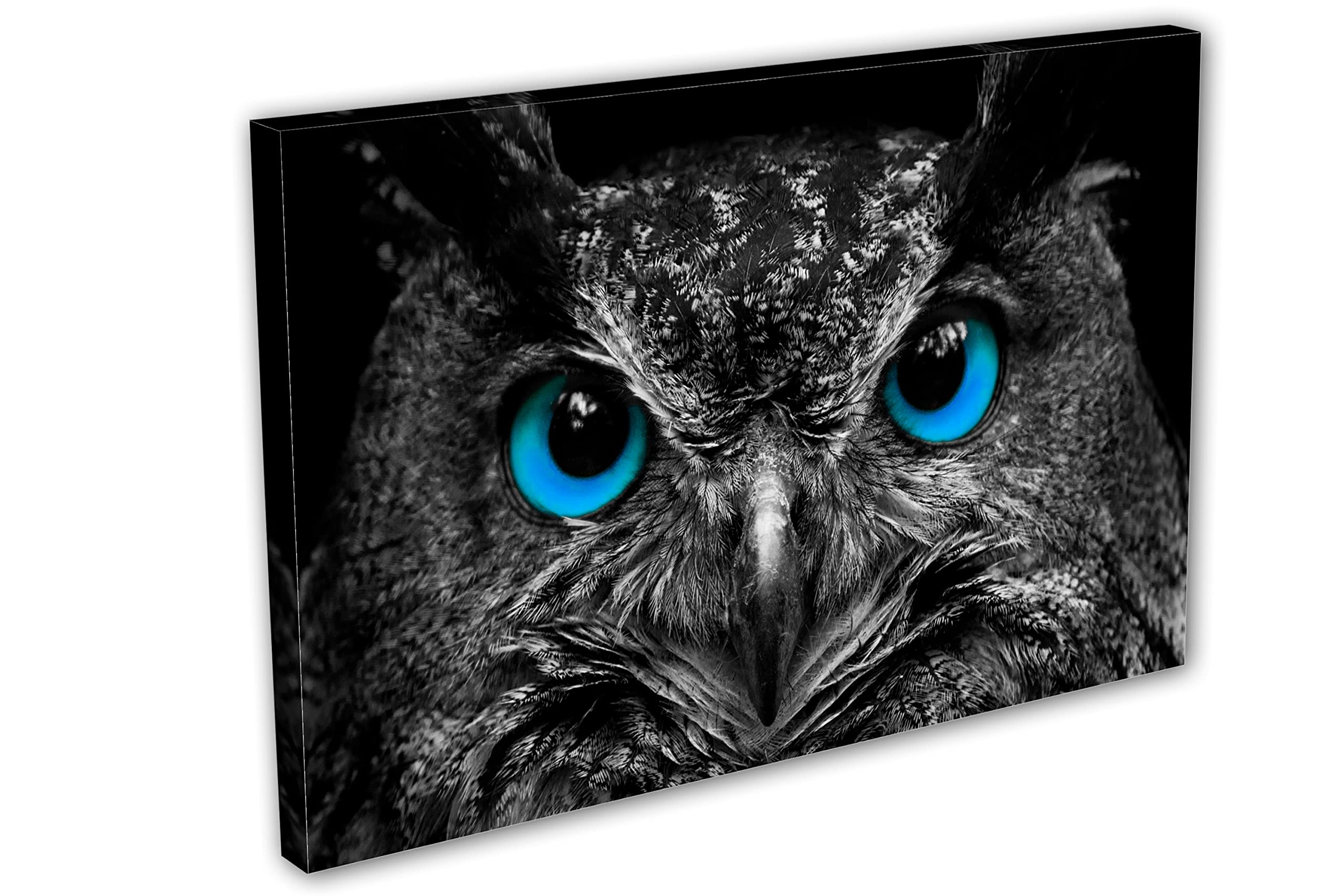 free printable owl wall art