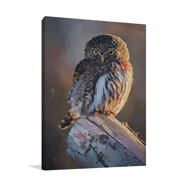 Northern Pygmy Owl Wall Art | Animal Art Print on Canvas