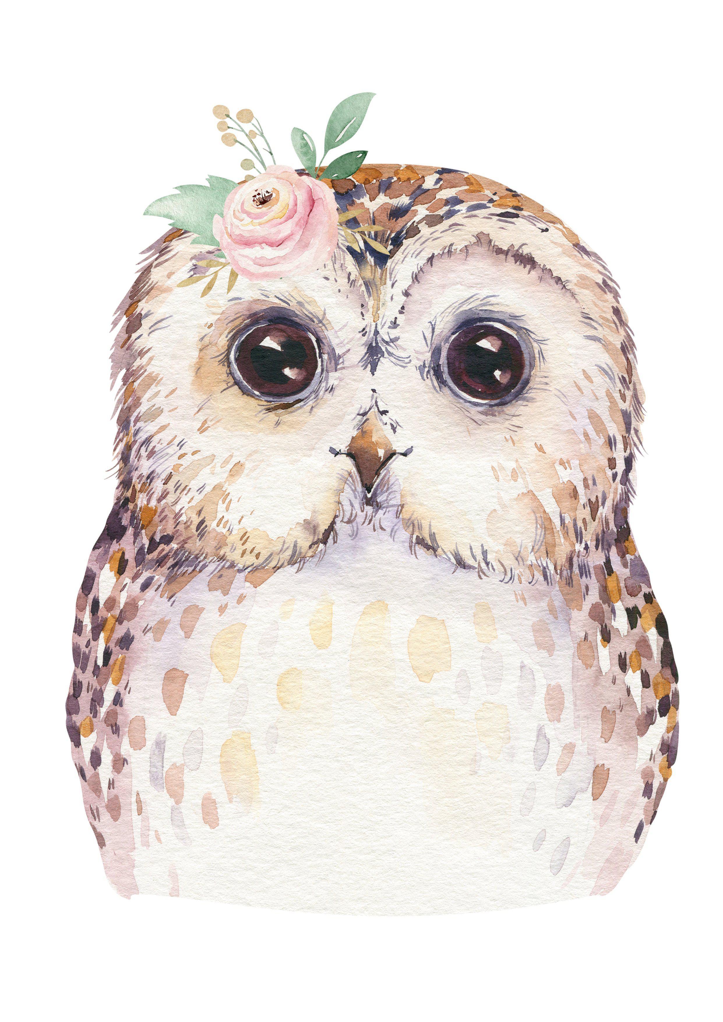 Floral Owl - Wall Art Print - Ma Petite