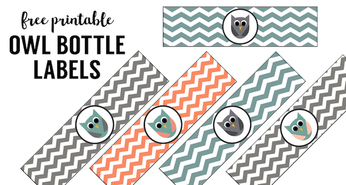 Free Printable Owl Water Bottle Labels - Paper Trail Design