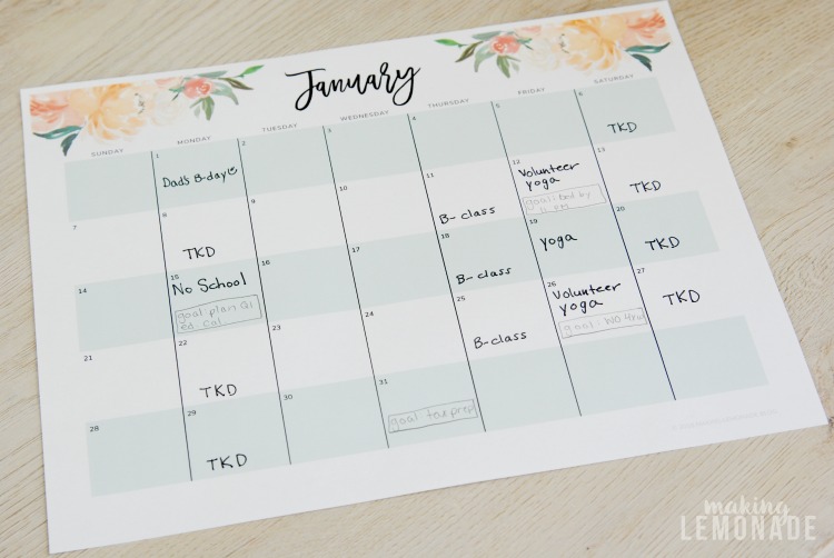 free printable planner 2018 daily
