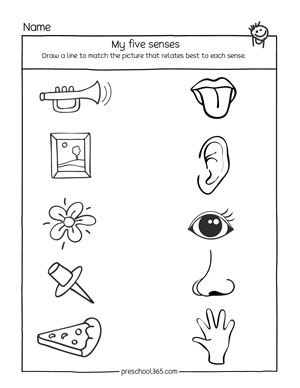 My Five Senses Kindergarten Activity Printables