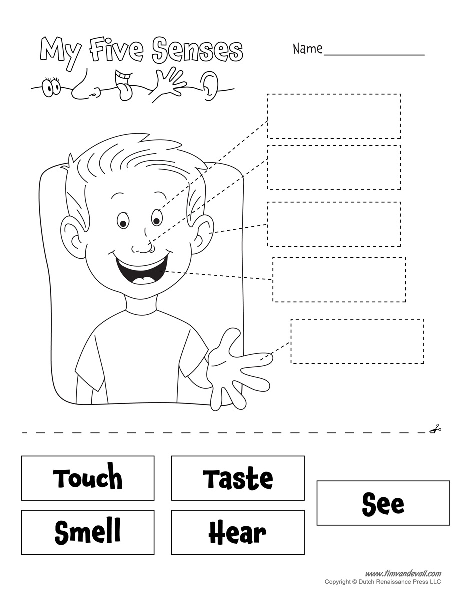 Free Printable Five Senses Worksheets