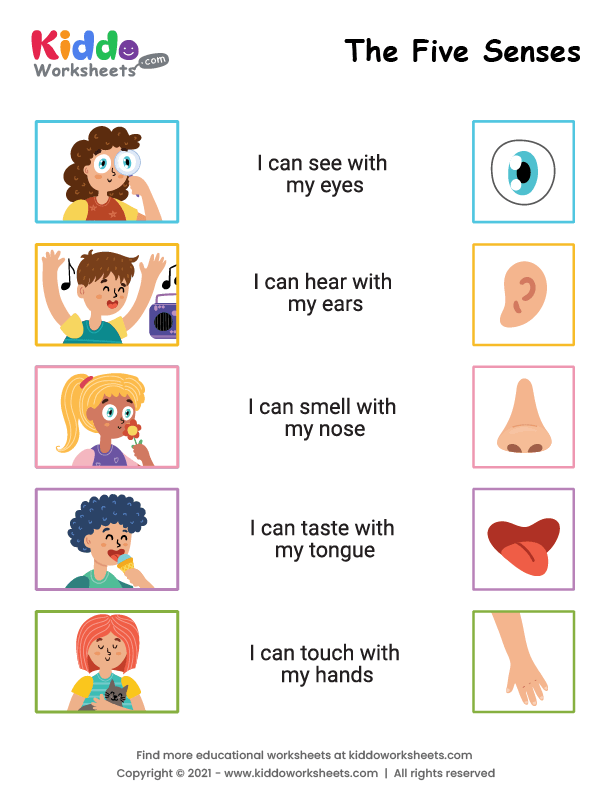 Free Printable Five Senses Worksheet - kiddoworksheets