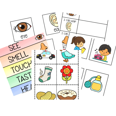 5 Senses Activities - Active Littles