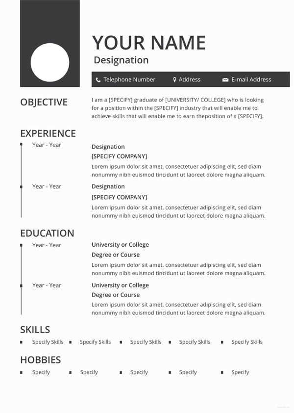 free printable resume builder with photo
