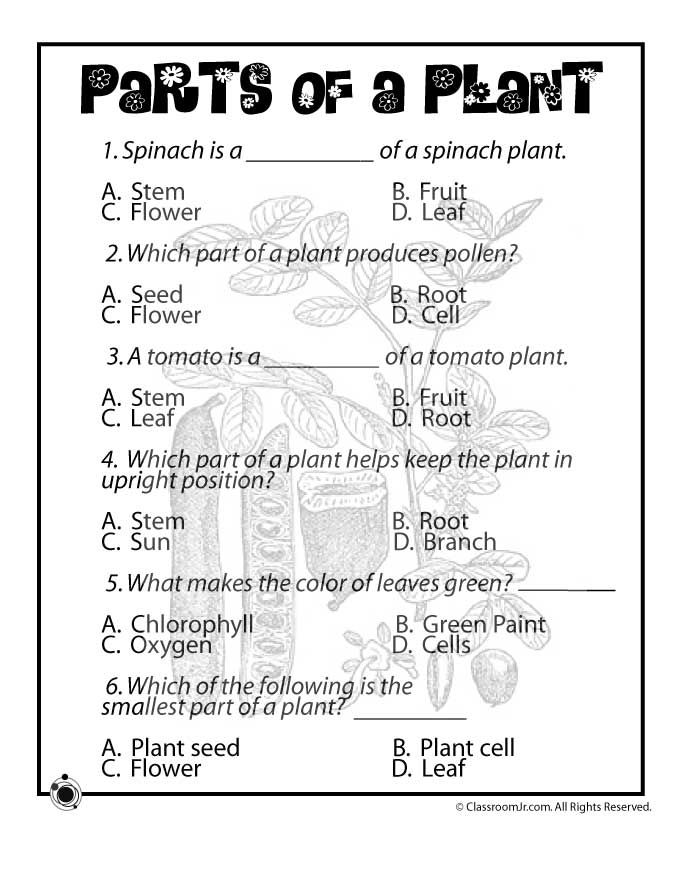 Free science worksheets, Science worksheets, Worksheets for grade ...