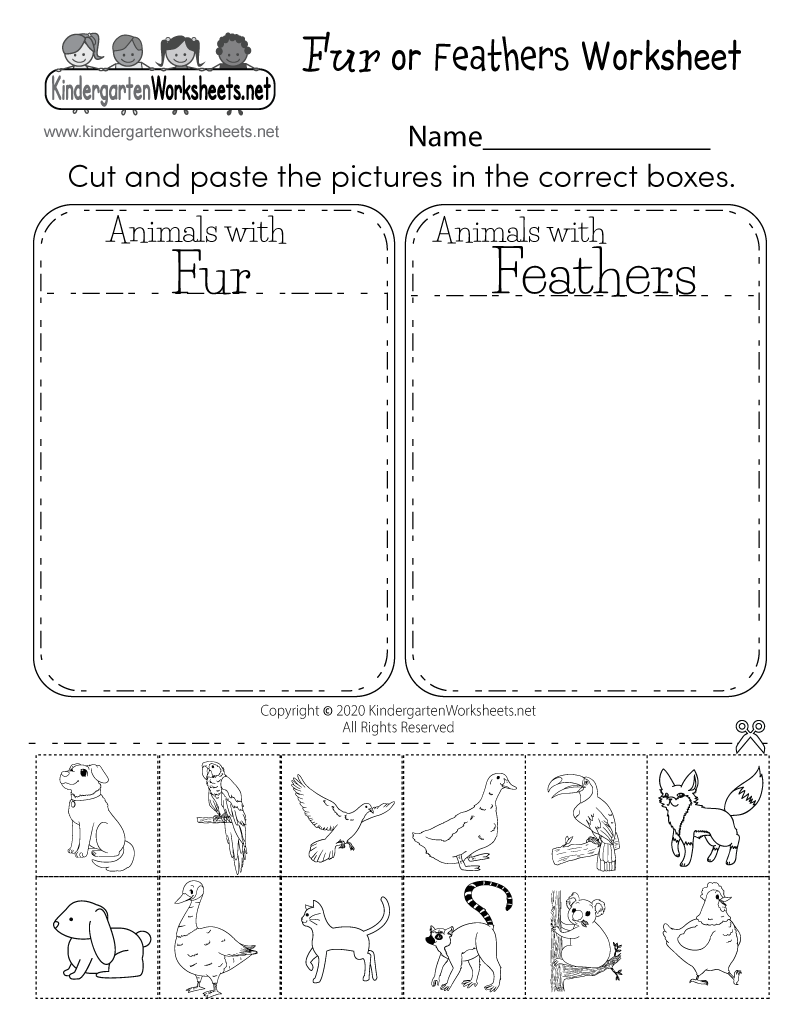 free printable science worksheet for kindergarten
