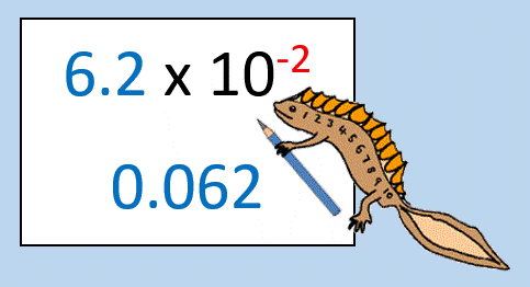 Scientific Notation to Standard Notation support page
