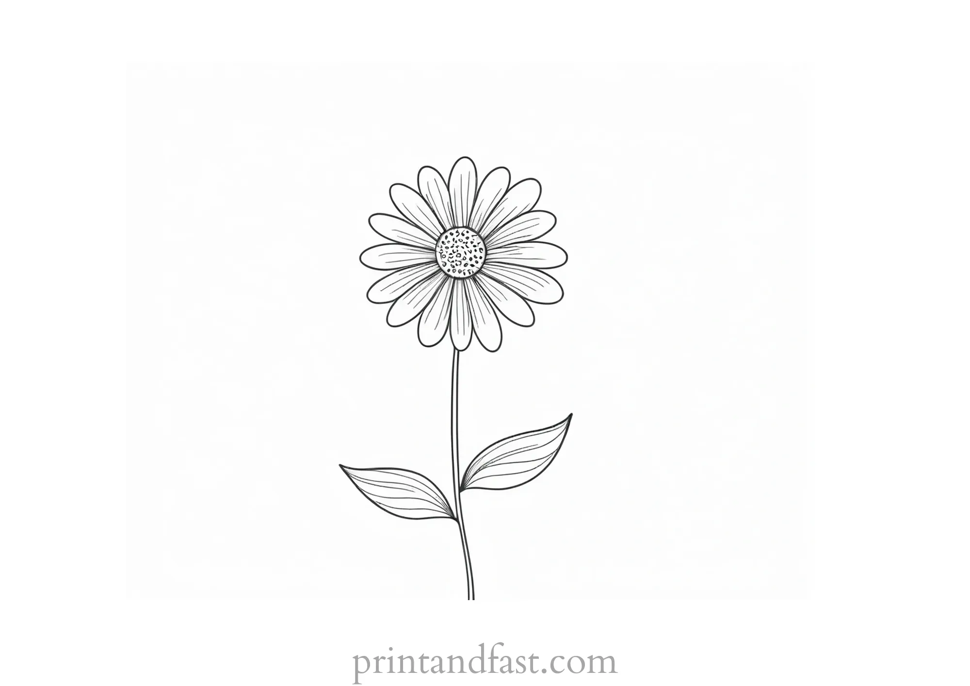 free printable summer flowers coloring pages