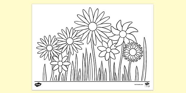FREE! - Summer Flowers to Colour | Colouring Sheets - Twinkl