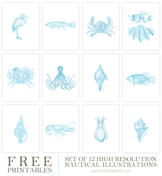 Free Printable Vintage Coastal Illustrations | The Painted Hive