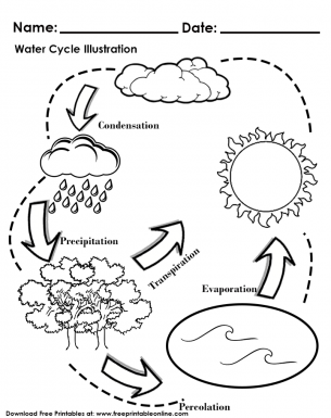free printable water cycle worksheet
