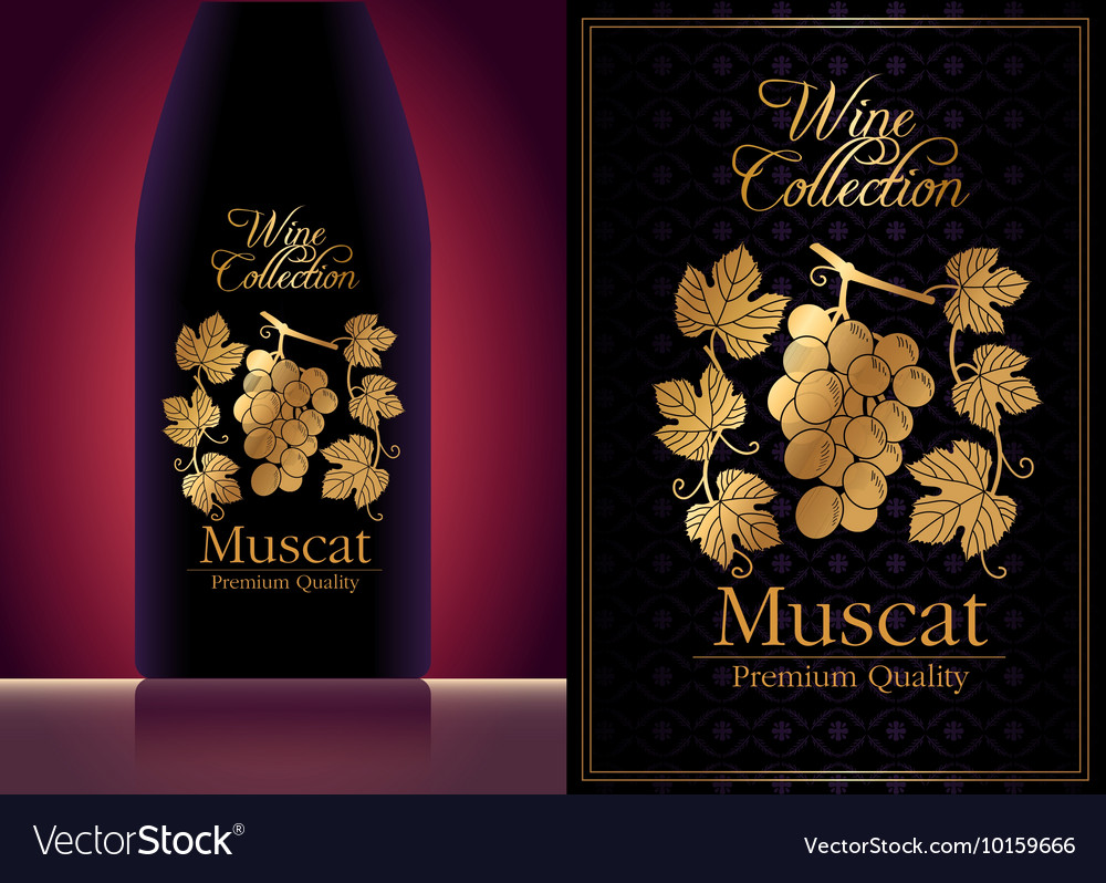 free printable wine labels download