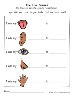 free printable worksheets kindergarten five senses