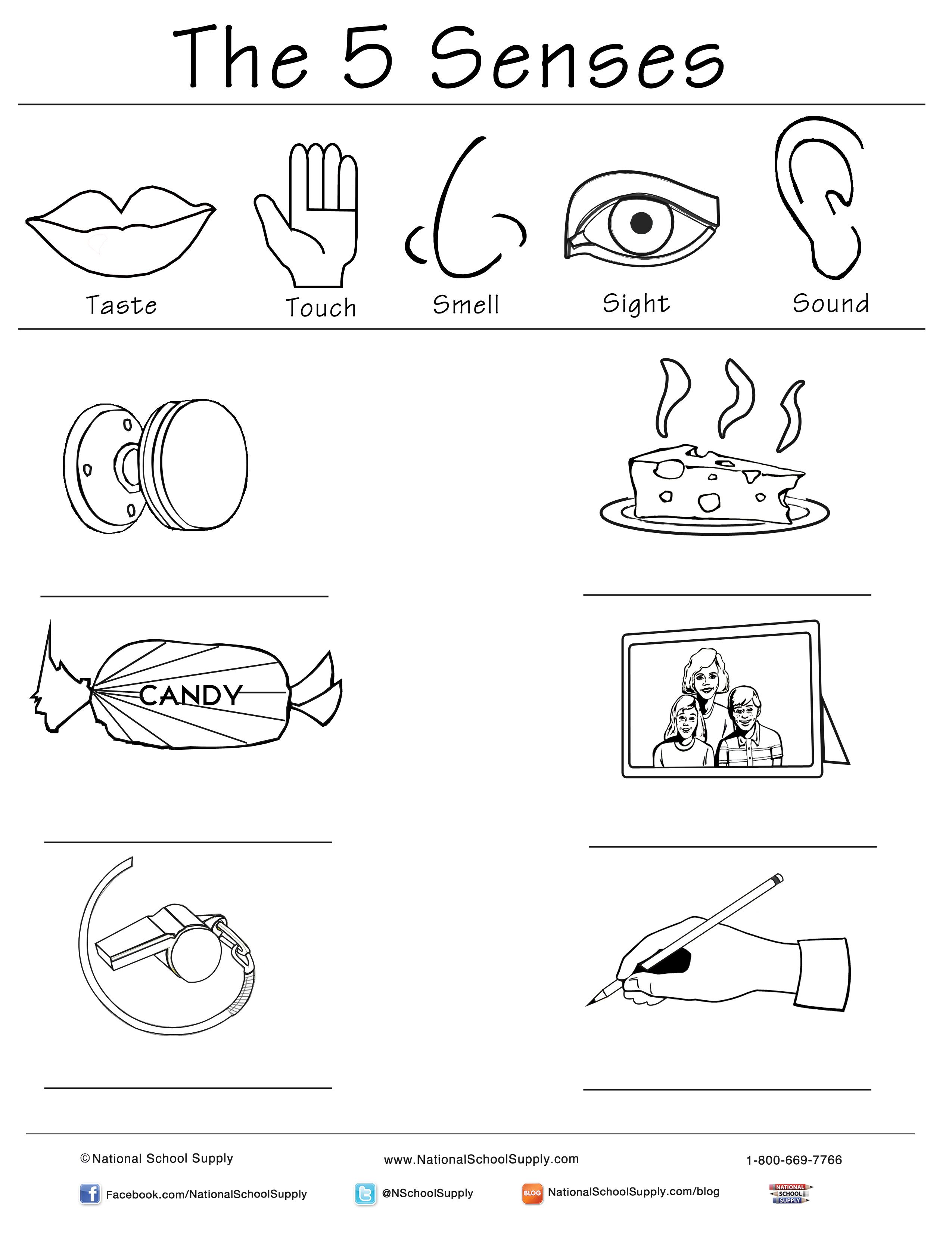 free printable worksheets kindergarten five senses