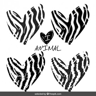 Zebra Stencil (8.5″x11″) | Stencil 1