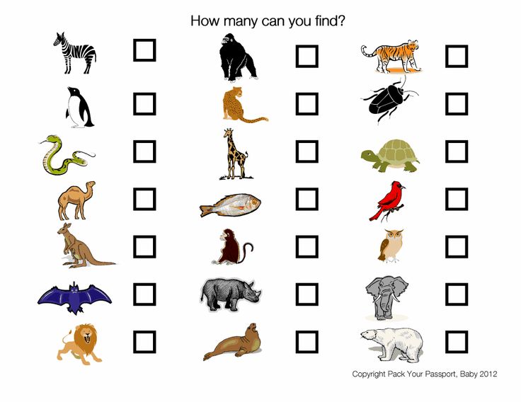 free printable zoo scavenger hunt